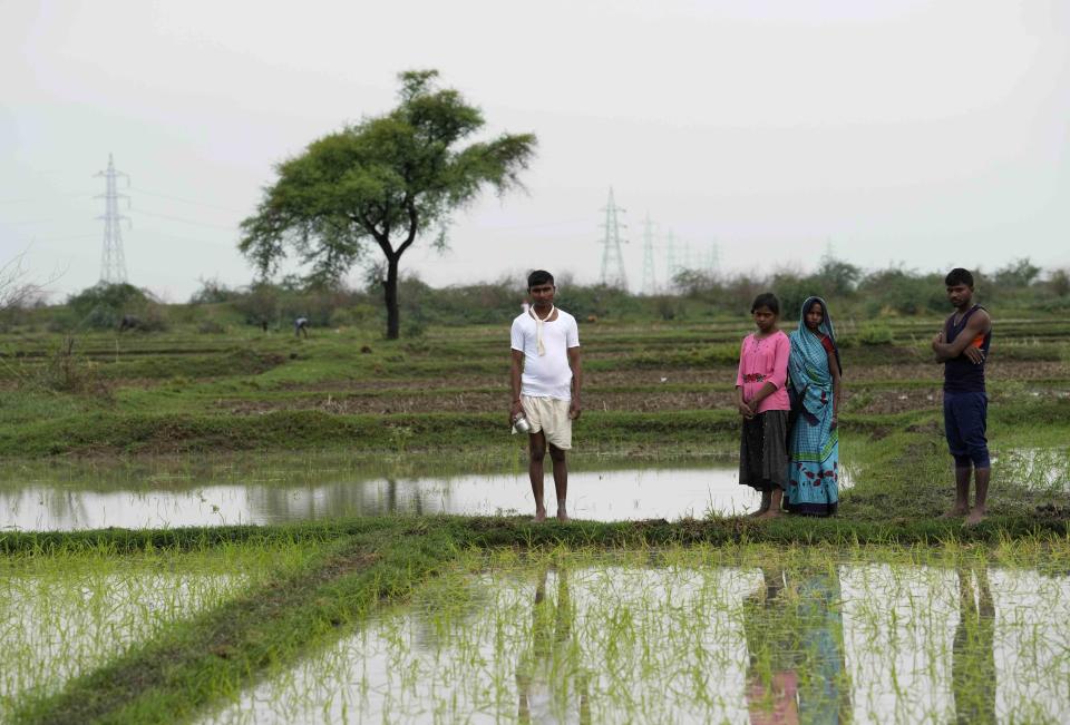 Shipra Bind, wearing pink, who survived a lightning strike, stands by the spot where her sister-in-law Khushboo was killed by lightning on July 25 in a paddy field at Piparaon village on the outskirts of Prayagraj, in the northern Indian state of Uttar Pradesh, Thursday, July 28, 2022. Seven people, mostly farmers, were killed by lightning in a village in India's northern Uttar Pradesh state, police said Thursday, bringing the death toll by lightning to 49 people in the state this week. (AP Photo/Rajesh Kumar Singh)