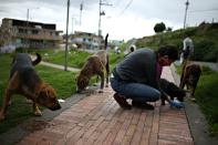 Tatiana Aguayo, an animal rights activist, feeds stray dogs wearing a face mask, amid the coronavirus disease (COVID-19) outbreak in Bogota