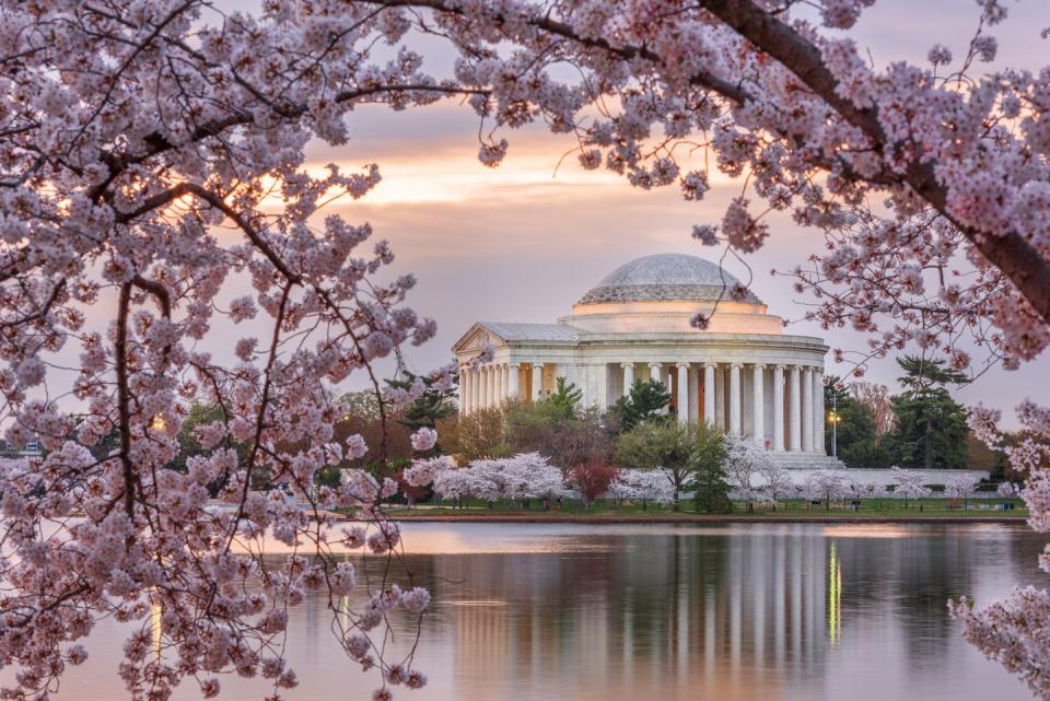 6) Washington DC