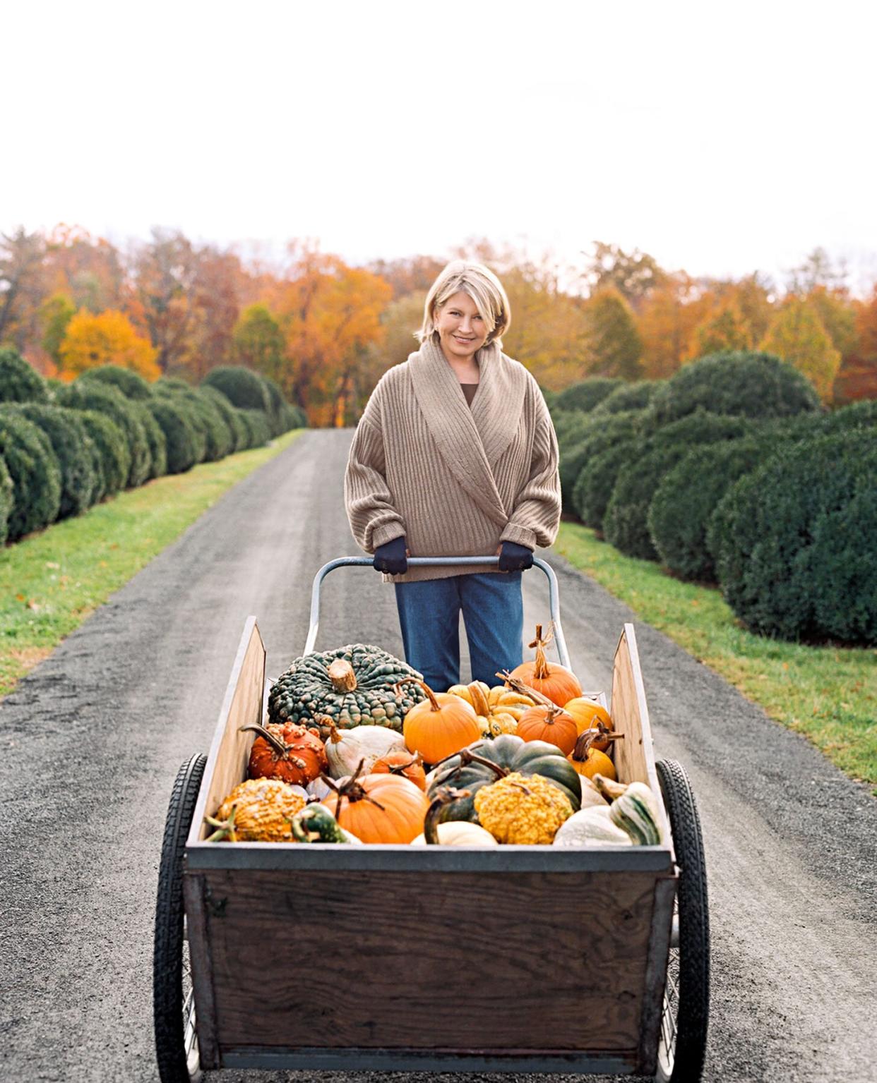 martha pumpkins october 2017 cover