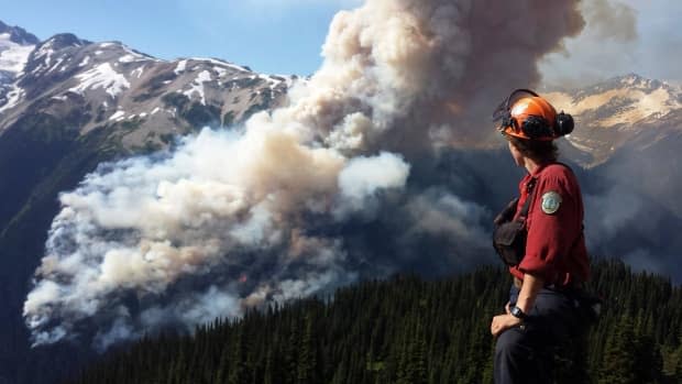 B.C. has spent more than 70 per cent of its 2021 wildfire fighting budget as of July 6.  (B.C. Wildfire Service/Reuters - image credit)