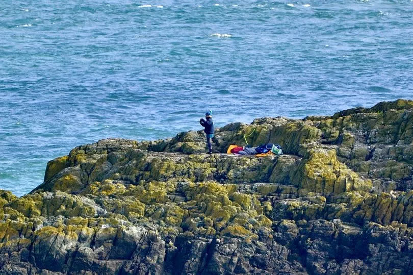 Di chose a high perch to stay out of the sea spray