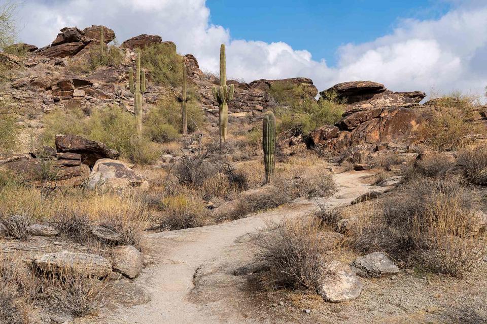 <p>Getty</p> Hidden Valley Mormon Trail in South Mountain Park Preserve in Phoenix