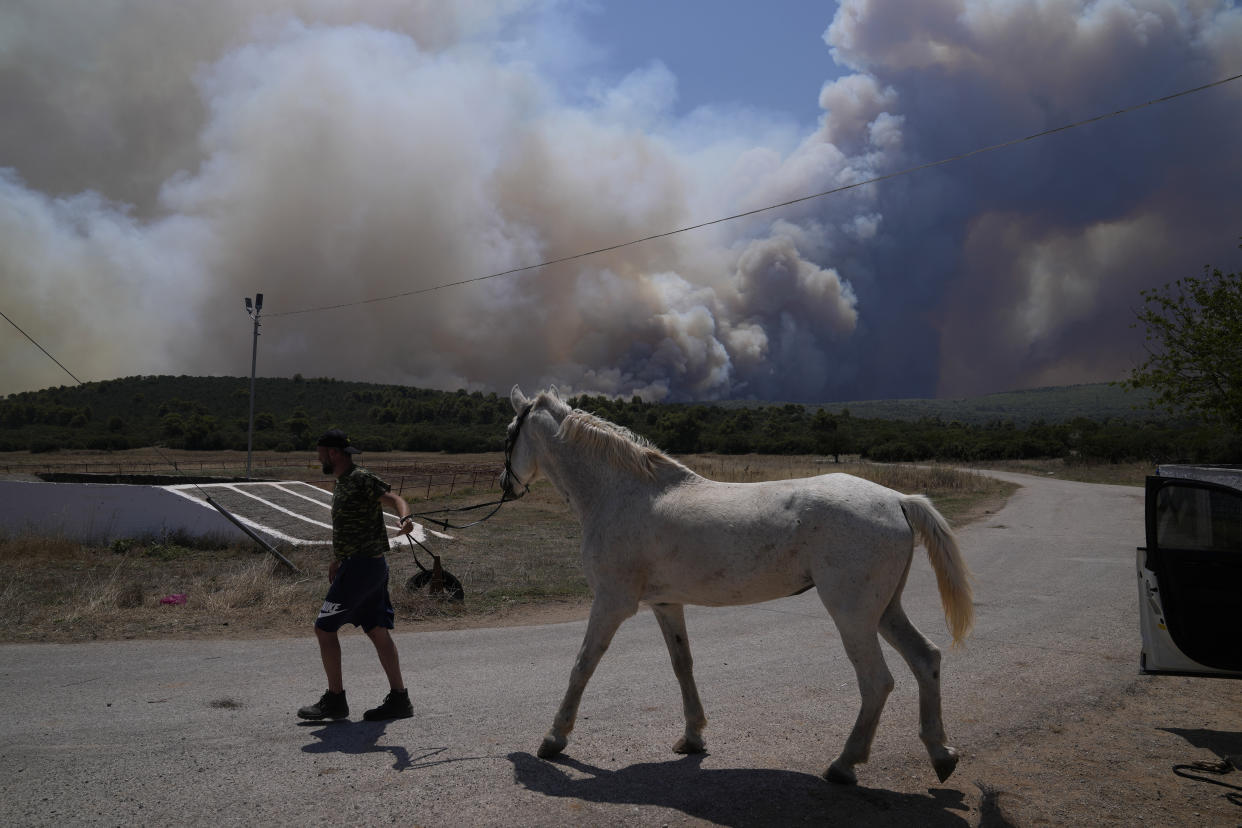 A man evacuates a horse from a stable with smoke from a fire in the background at Pournari village near Athens.