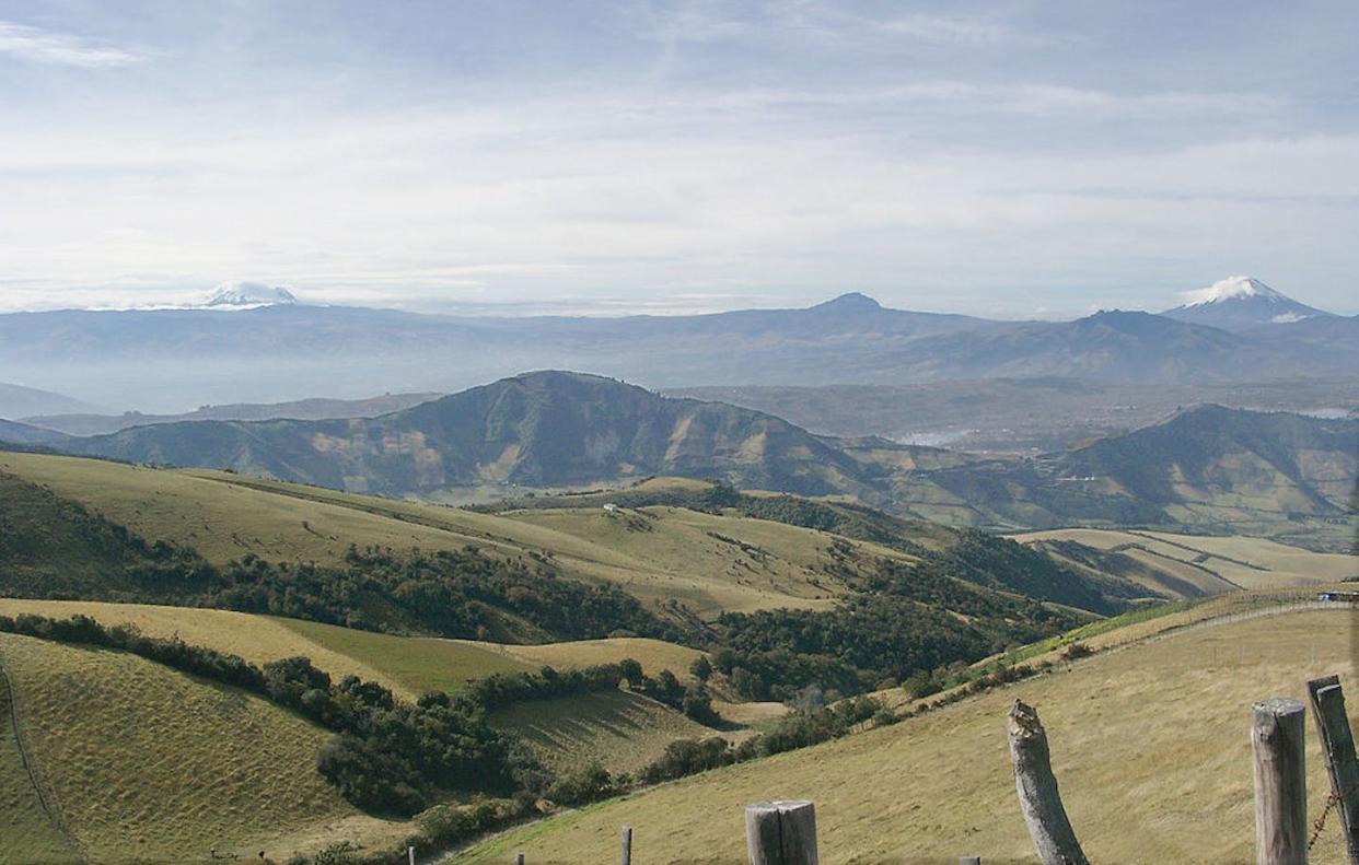 Au loin, le volcan Antisana, dans les Andes, région où plusieurs espèces végétales sont remontées en altitude. <a href="https://commons.wikimedia.org/wiki/File:Ecuador,_Anden,_Antisana_a_Cotopaxi.JPG" rel="nofollow noopener" target="_blank" data-ylk="slk:Cayambe at lb.wikipedia, via Wikimedia Commons;elm:context_link;itc:0;sec:content-canvas" class="link ">Cayambe at lb.wikipedia, via Wikimedia Commons</a>, <a href="http://creativecommons.org/licenses/by/4.0/" rel="nofollow noopener" target="_blank" data-ylk="slk:CC BY;elm:context_link;itc:0;sec:content-canvas" class="link ">CC BY</a>