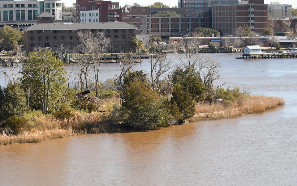 Point Peter across the Cape Fear River from Wilmington, N.C. Wednesday Jan. 17, 2024. KEN BLEVINS/STARNEWS