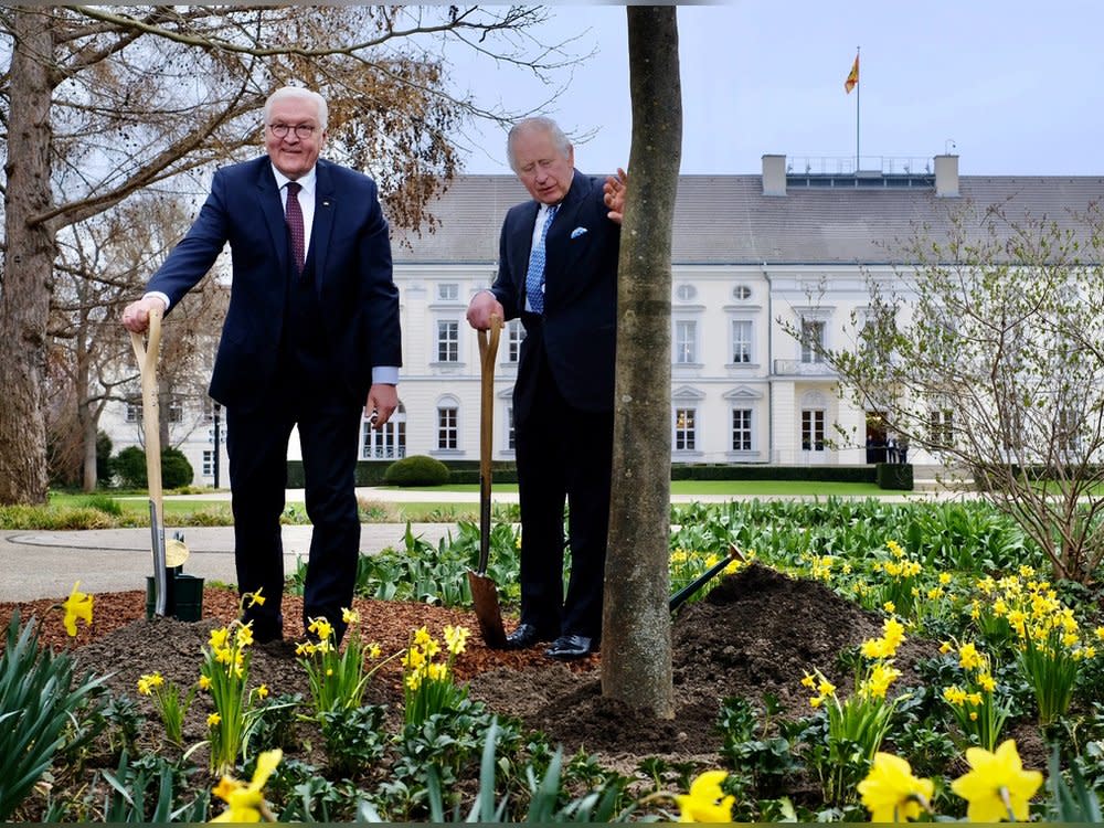 Im Garten von Schloss Bellevue pflanzten König Charles III. und Bundespräsident Steinmeier eine Manna-Esche zu Ehren der Queen. (Bild: TILL BUDDE                                                                                                                                                                                                                                                     )