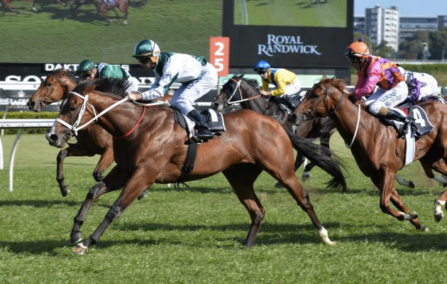 Vanbrugh was shuffled back in the field, but came with a sustained run to claim victory in the Spring Champion Stakes at Randwick.