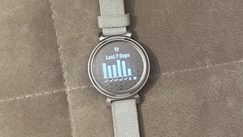 Activity stats on Garmin Lily 2 watch