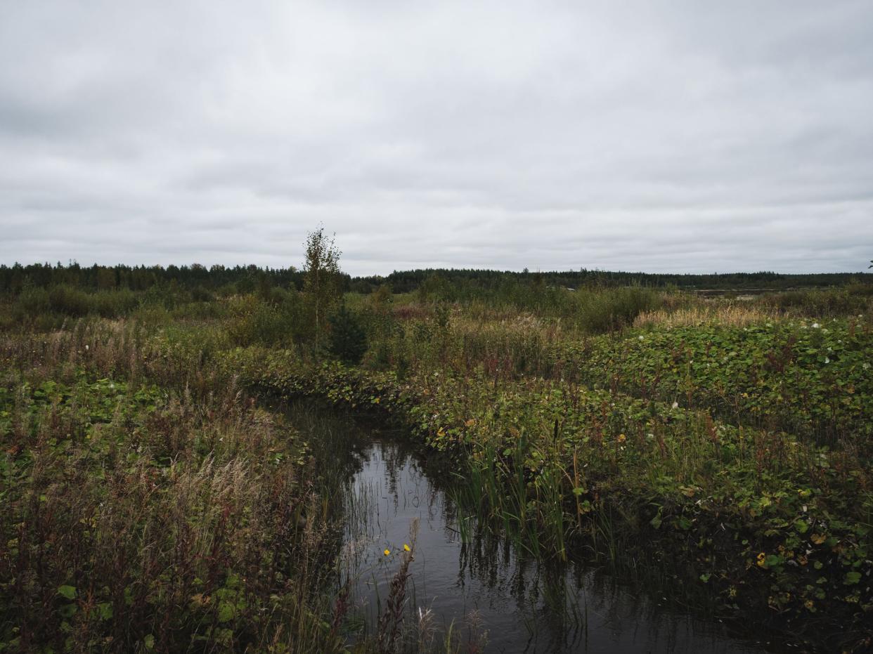 Peatlands store a third of the world's soil carbon (Alessandro Rampazzo/AFP/Getty)