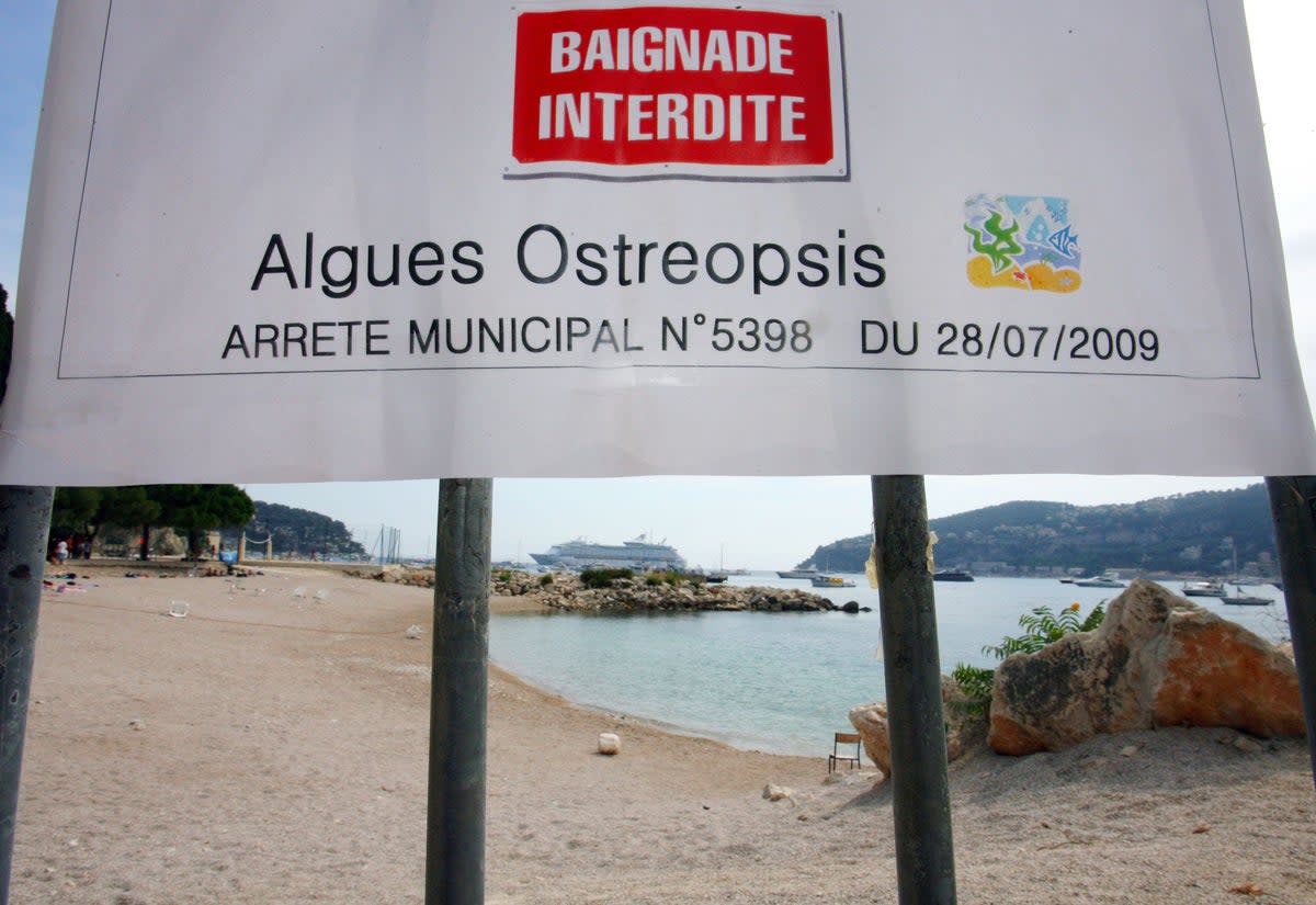 France banned swimming at beaches on the Cote d’Azur in 2009 due to the toxic algae (AFP/Getty)