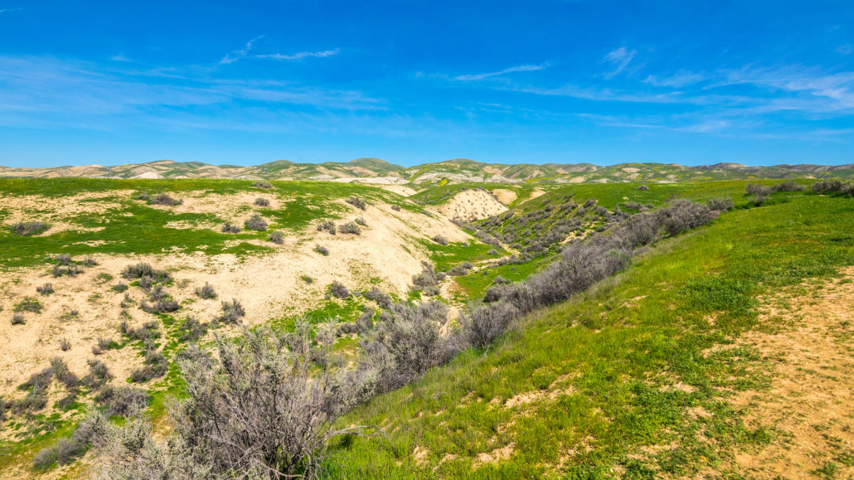 Wallace Creek, Carrizo Plain National Monument, San Andreas Fault (boundary between the Pacific Plate and the North American Plate), California USA, North America - Image.