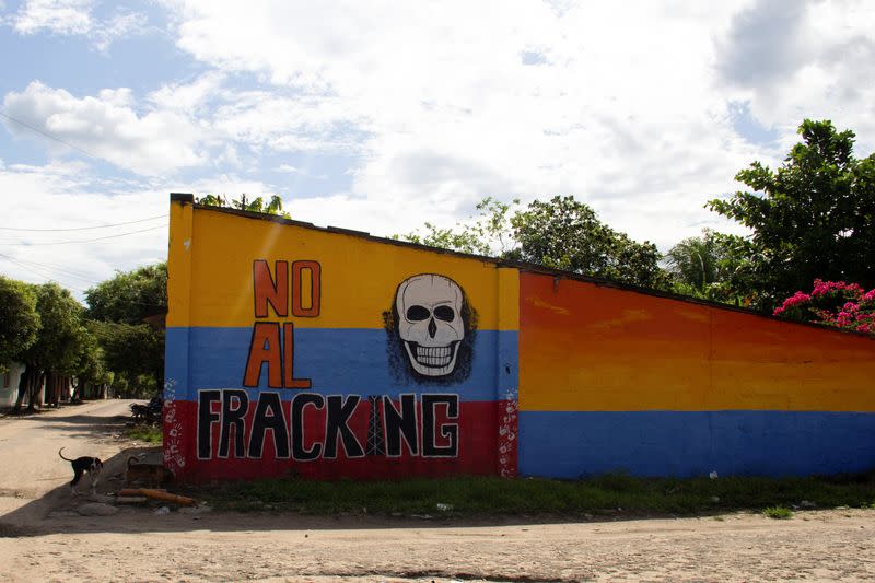 Foto de archivo. Perros juegan cerca de un grafiti que dice "No al fracking" en Puerto Wilches