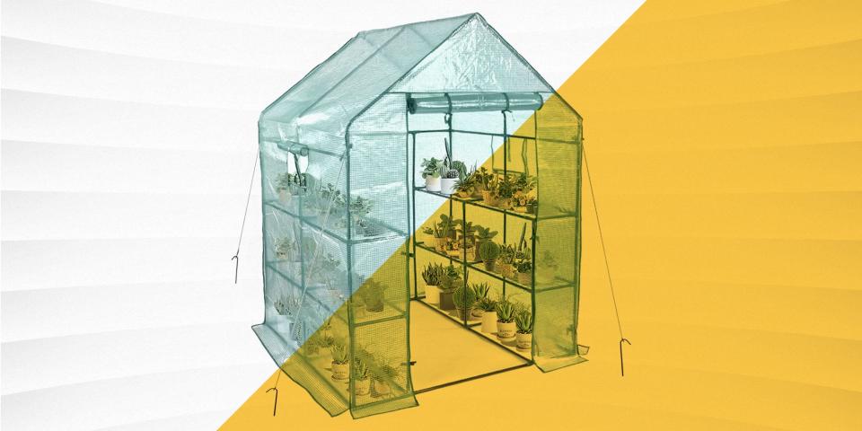 Help Your Plants Thrive With These Top-Rated Greenhouse Kits