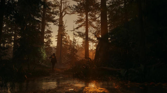 Alan Wake 2, Mid Range PC vs PS5