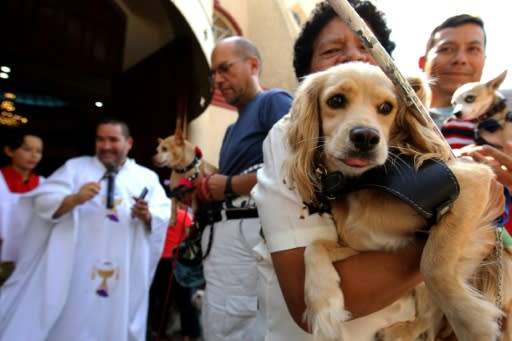 Catholic faithfuls bring their pets to be blessed at the Church of Saint Francis of Assisi, patron saint of animals, whose feast marks World Animal Day in Zapopan, Jalisco state in Mexico, on October 4, 2019