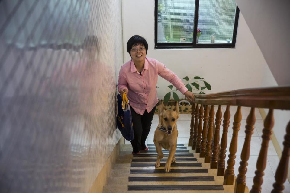 劉柏君也在勵馨基金會當專案經理，開新分送物資助人，還收養了一條流浪狗。