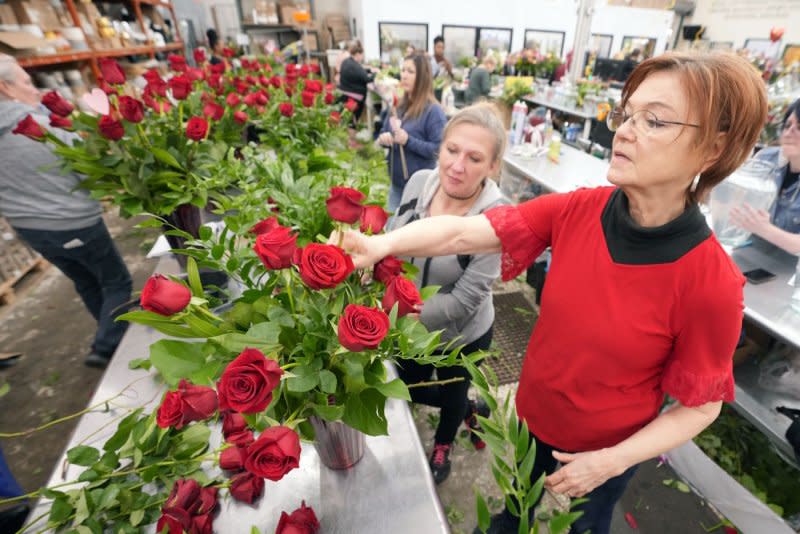 Floral arranger Vicki Rose shows others how to arrange a dozen roses for Valentines Day at Walter Knoll Florists in St. Louis last year. File Photo by Bill Greenblatt/UPI