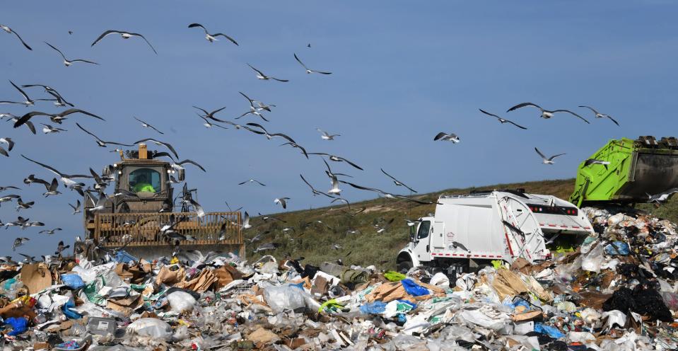 Gulls fly around as trucks are emptied Oct. 14 at Eastern Sanitary Landfill in White Marsh, Md., which holds trash from Baltimore County residents.