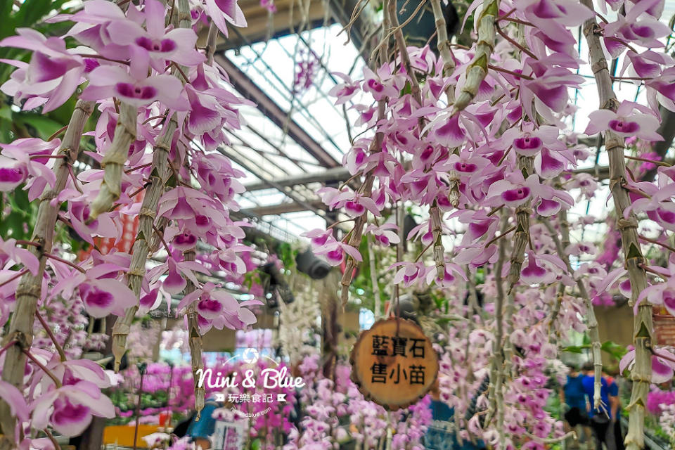 台中后里｜萌芳花卉農場