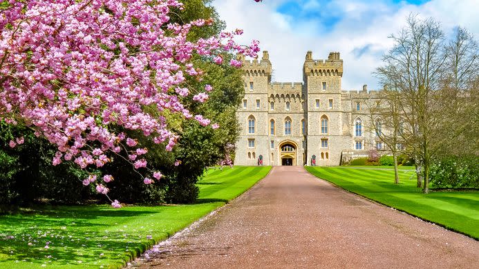 long walk to windsor castle in spring, berkshire, uk