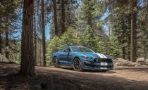 <p>2019 Ford Mustang Shelby GT350</p>