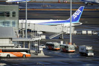 A Japanese chartered plane carrying evacuees from Wuhan, China, is parked after landing at Haneda international airport in Tokyo Wednesday, Jan. 29, 2020. (AP Photo/Eugene Hoshiko)