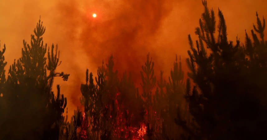 智利森林大火情況十分嚴重。（圖／達志／路透社）