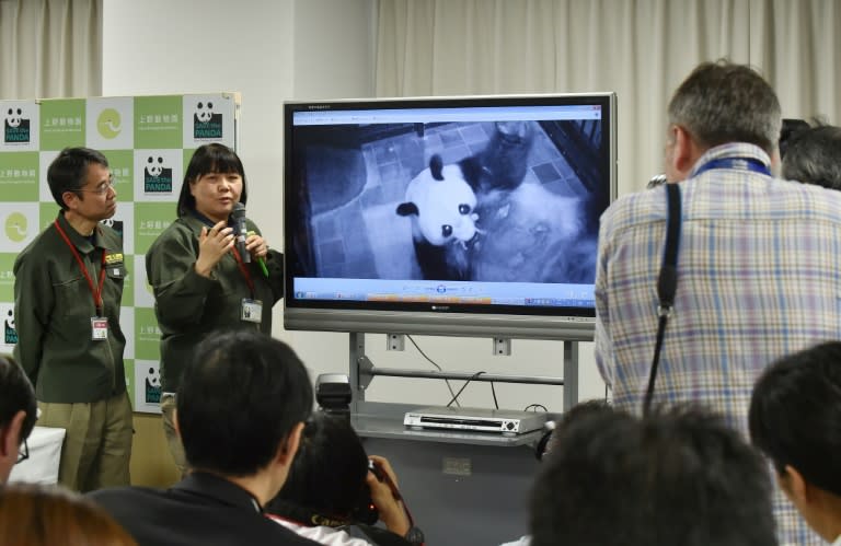 Zoo officials briefed hordes of waiting media about the birth of the new panda cub, as everyone from a local Chinese restaurant to the government's chief spokesman got in on the celebrations
