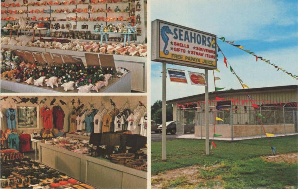 The Seahorse Gift Shop, which opened in the 1950s in Palmetto and later relocated to Bradenton, was a popular roadside attraction that offered free visitors fruit juice and live alligator encounters. 