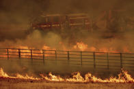 <p>Firefighters battle a wildfire burning in Guinda, Calif. on July 1, 2018. (Photo: Noah Berger/AP) </p>