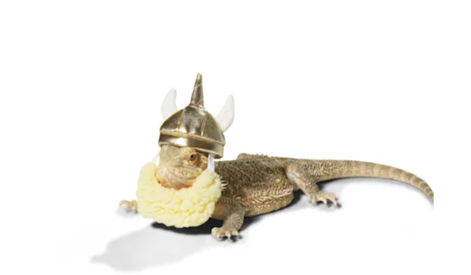 Bootique Viking Lizard Costume