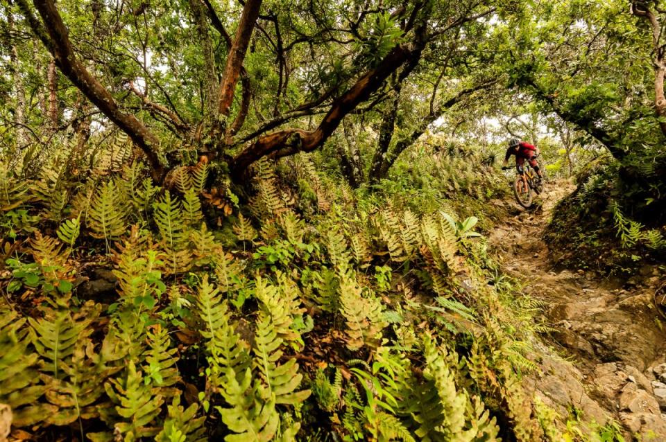 <p>Photo: Bruno Long</p><p> Gulevich made this steep, rocky section look easy. Most of the group took the easier line around this technical line.</p>