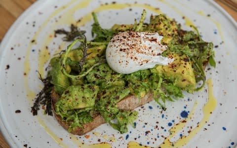 Poached egg avocado - Credit: Paul Cooper