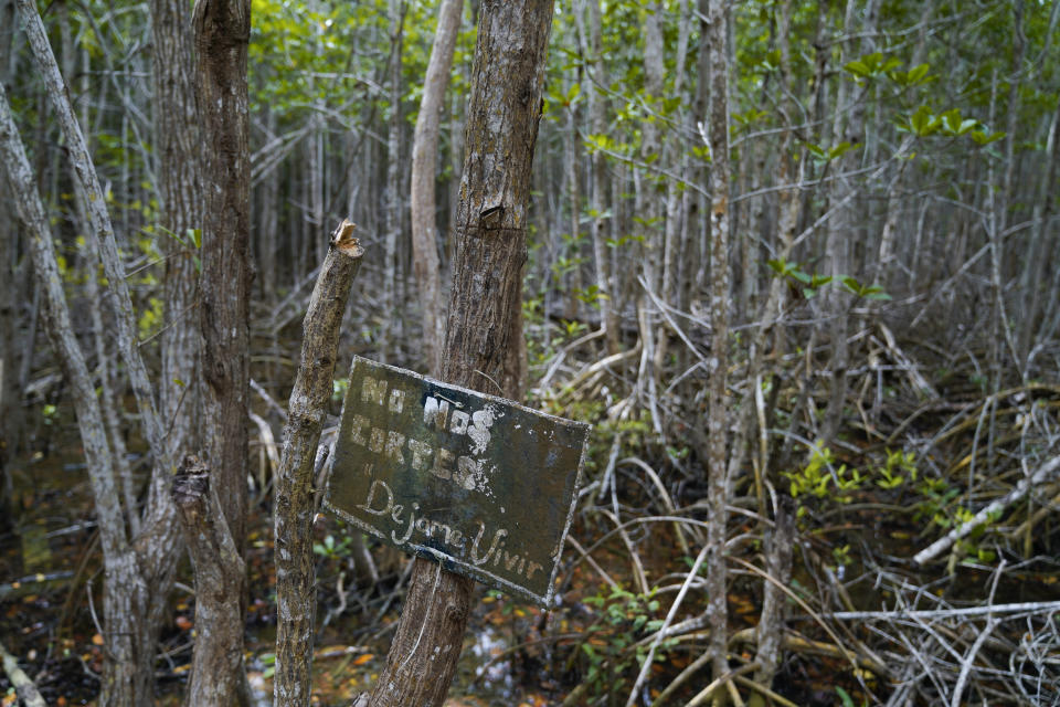 A sign with a message that reads in Spanish: “Don’t cut us down. Let me live”, is nailed to the trunk of a tree in the Dzilam de Bravo Reserve, in Mexico’s Yucatan Peninsula, Thursday, Oct. 7, 2021. Cutting mangroves has been a crime since 2005, but Manuel Gonzalez, a 57-year-old fisherman known as Becha, says authorities shut down and fine projects, only to have them later reopen. (AP Photo/Eduardo Verdugo)