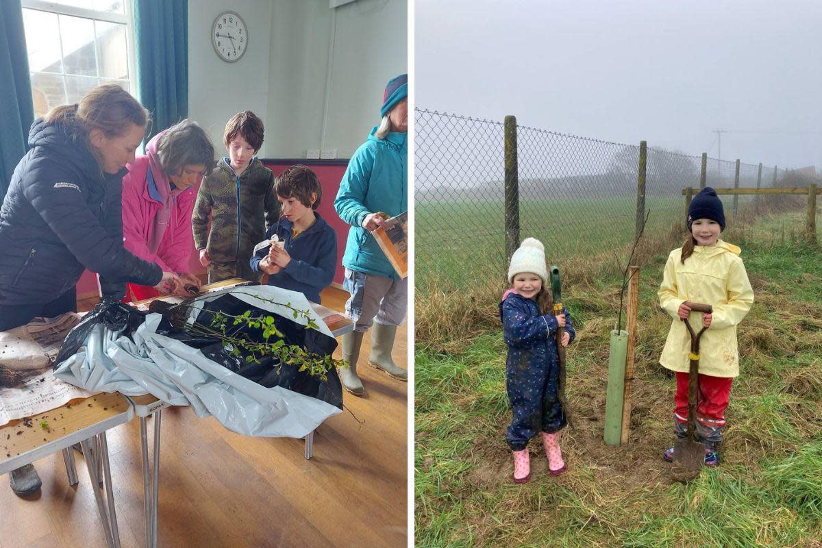 Events included a planting and giveaway event in St Nicholas Village Hall (left) and planting trees in Roch and Nolton (right) <i>(Image: Pembrokeshire Coast National Park Authority)</i>