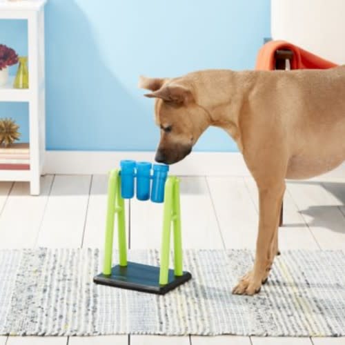 Stimulating Toys for Older Dogs