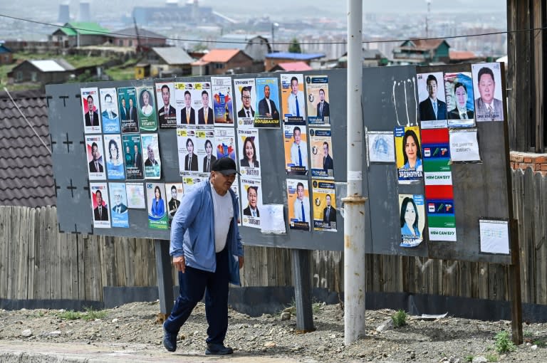 Mongolia's centre-right anti-corruption HUN party is expected to increase its parliamentary representation (Hector RETAMAL)