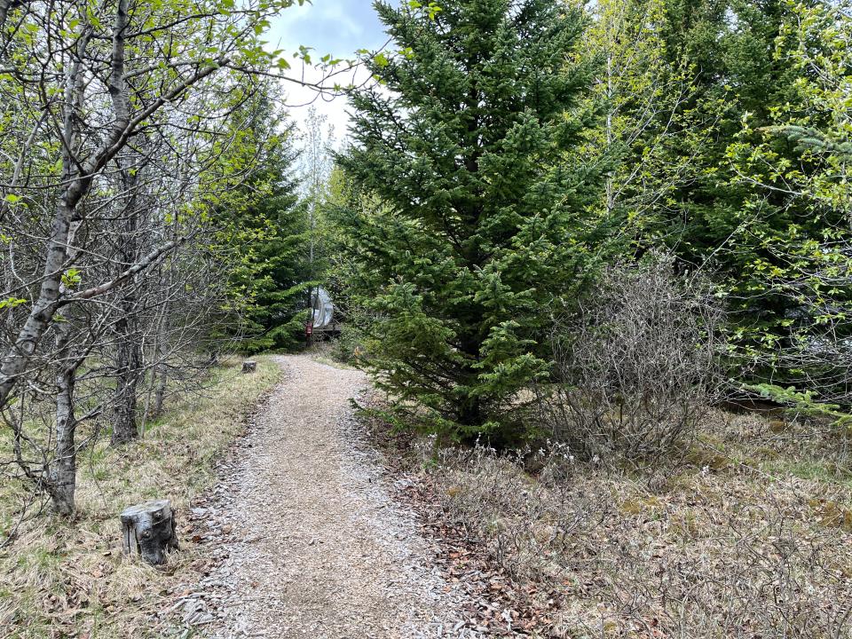 A path through the woods at the Bubble Hotel in Iceland.