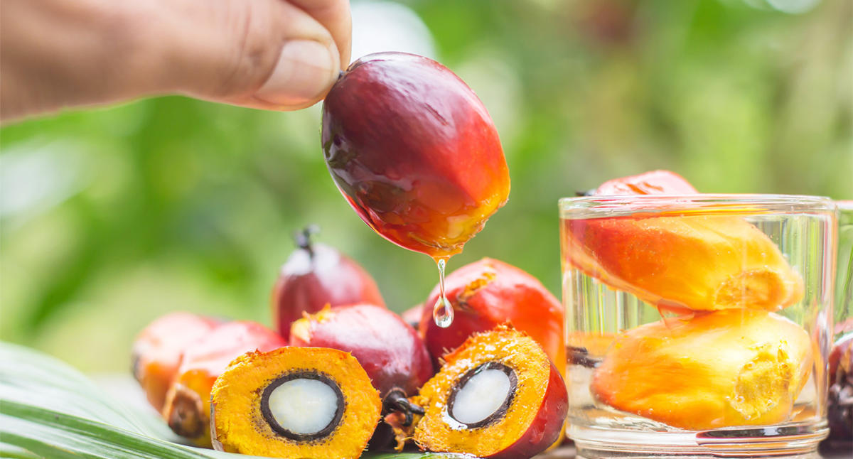 Which Country Consumes the Most Palm Kernel Oil in the World