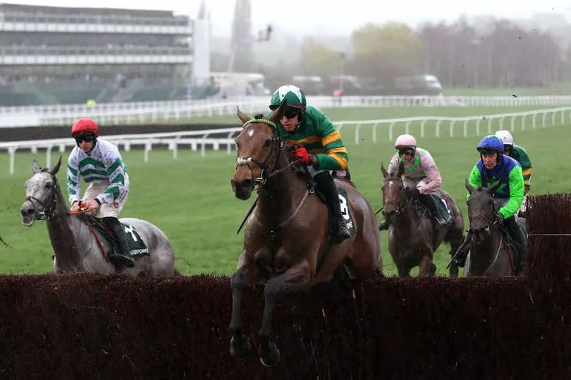 Limerick Lace, ridden by Keith Donoghue (centre), on the way to winning the Mrs Paddy Power Mares' Chase on day four of the 2024 Cheltenham Festival at Cheltenham Racecourse on Friday, March 15 2024