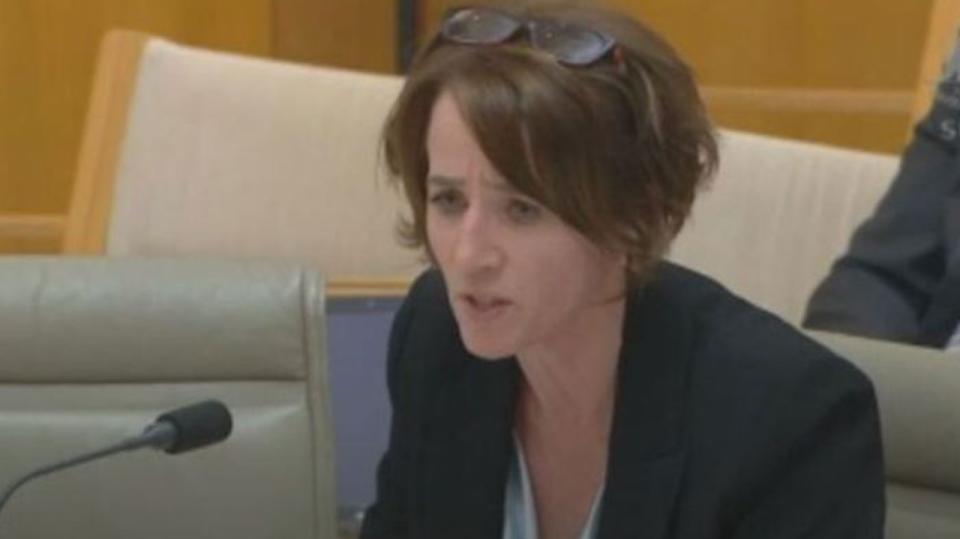 Chief executive of Australian Pork Margo Andrae said at a Senate Estimates that protesters had dressed up as plumbers in attempts to bug her office. Picture: 9 News