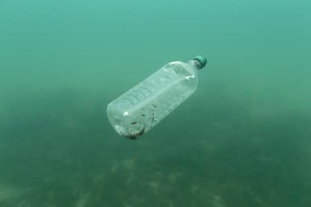 FILE PHOTO: A plastic bottle is seen floating in an Adriatic sea of the island Mljet