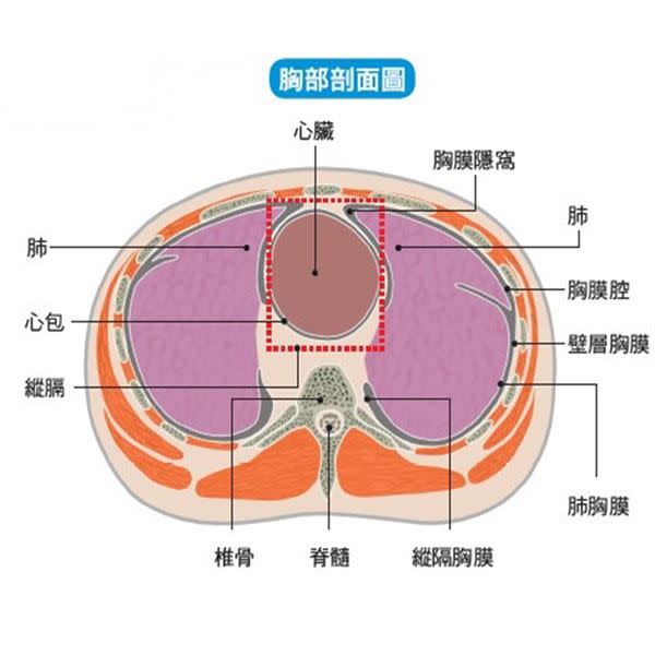 （圖片提供／大是文化）