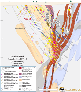 Fenelon Gold, Cross Section 9975_E