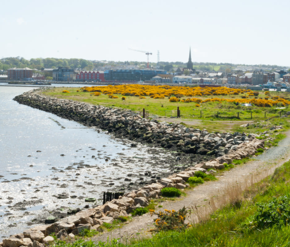 Wexford's world-famous Opera Festival (Oct. 18-Nov. 2, 2024) will feature over 80 events this fall. <p>David Soanes Photography/Getty Images</p>