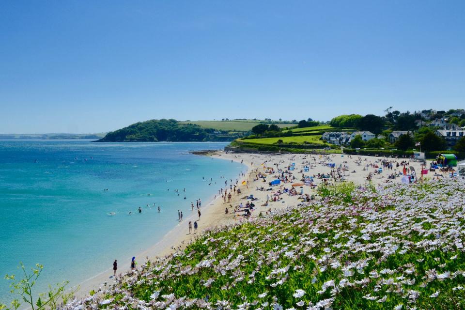 busy gyllyngvase beach, cornwall, uk in summer