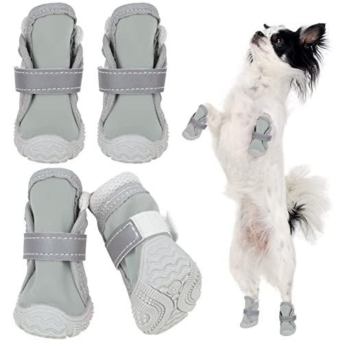 49) Dog Shoes