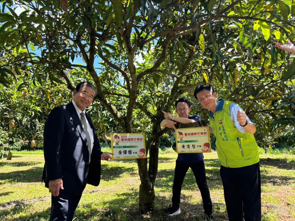 臺南國際芒果節開幕，3個日本城市官方率團參加，富士宮市長及水上町富町長親自到芒果園參觀。（圖：南市府提供）