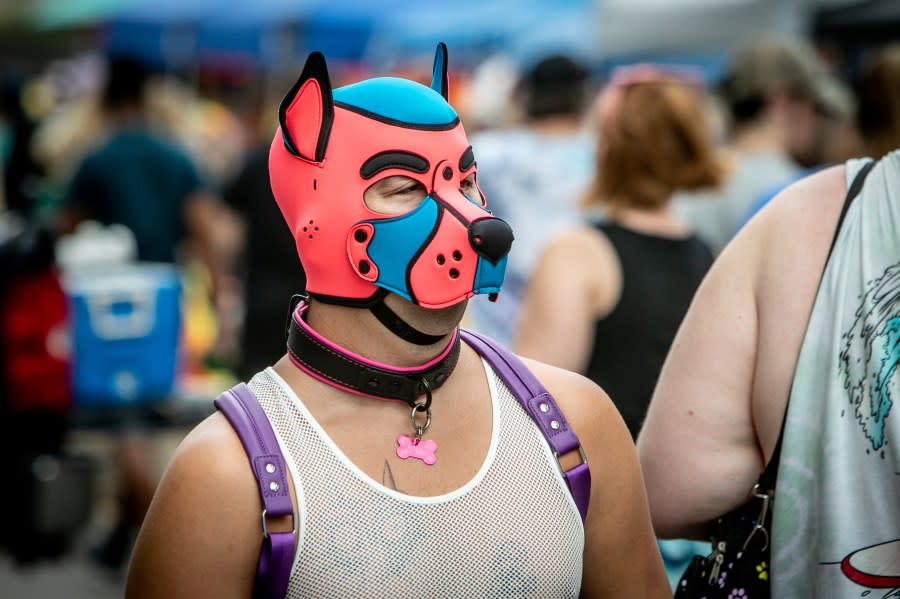 Grand Rapids Pride Festival on Saturday, June 22, 2024. (Michael Buck/WOOD TV8)